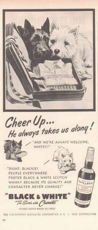Black & White Scotch Whiskey 1952 Ad Scottish Terriers - Cheer Up!