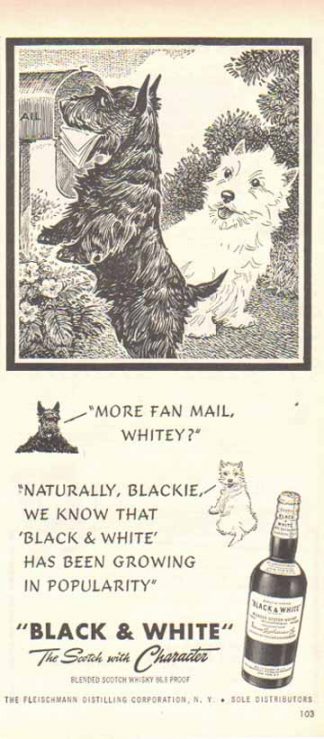 Black & White Scotch Whiskey 1949 Ad Scottish Terriers - More Fan Mail