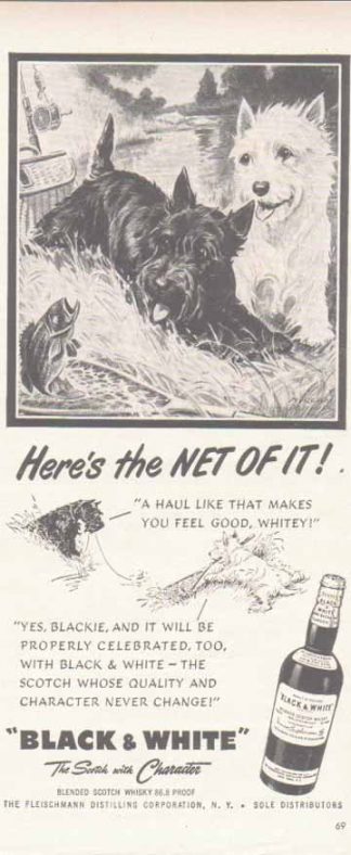 Black & White Scotch Whiskey 1951 Ad Scottish Terriers - Net Fishing