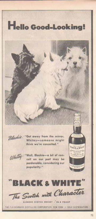 Black & White Scotch Whiskey 1948 Ad Scottish Terriers - At the Mirror?