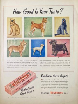 Clark’s Teaberry Chewing Gum 1947 Ad – How Good is your Taste?