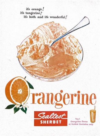 Sealtest Sherbert 1955 Ad – Orangerine