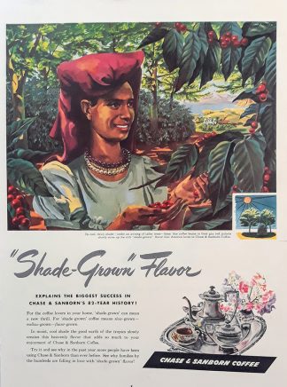 Chase & Sanborn Coffee 1946 Ad – Shade-Grown Flavor