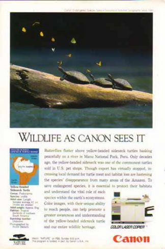 Canon Color Laser Copier 1994 Ad - Yellow Headed Sideneck Turtle