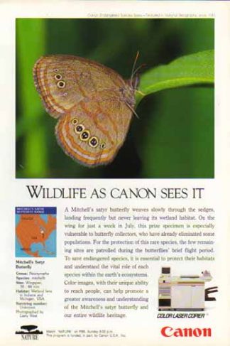 Canon Color Laser Copier 1993 Ad - Mitchell's Satyr Butterfly