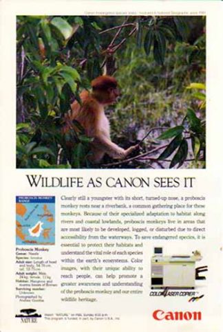 Canon Color Laser Copier 1991 Ad - Proboscis Monkey