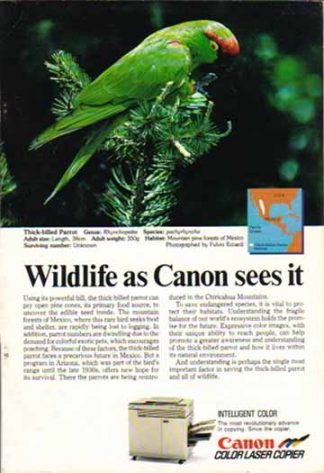 Canon Color Laser Copier 1988 Ad - Thick Billed Parrot