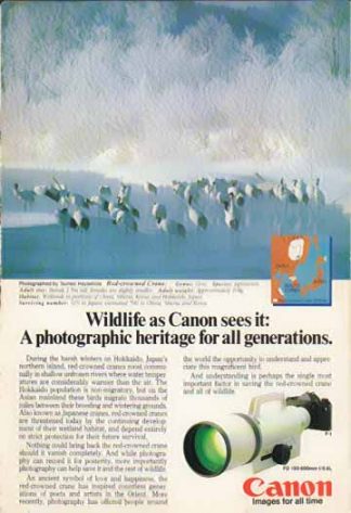 Canon FD 150-600mm f/5.6L Lens 1985 Ad - Red-crowned Crane