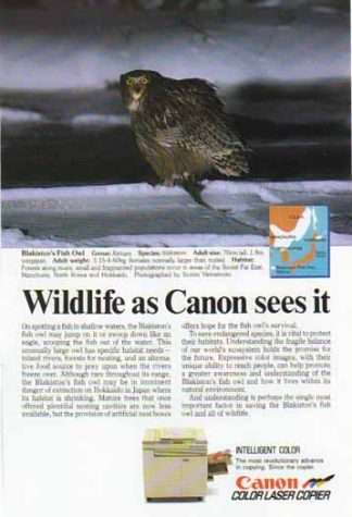 Canon Color Laser Copier 1988 Ad - Blakiston's Fish Owl
