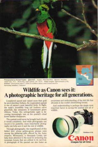 Canon FD 300 f/2.8L Lens 1985 Ad - Quetzal Bird