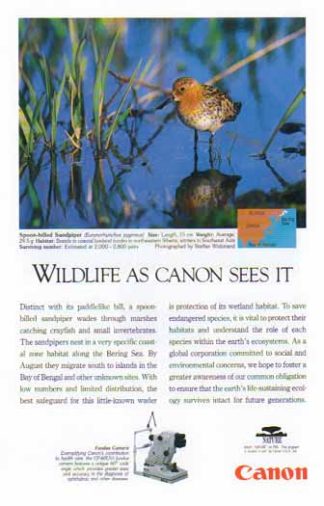 Canon CF-60UVi Fundus Camera 1995 Ad - Spoon-billed Sandpiper Bird