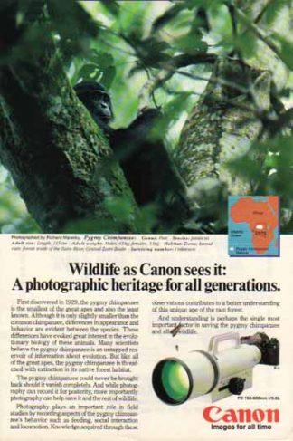 Canon FD 150-600mm f/5.6L Lens 1985 Ad - Pygmy Chimpanzee