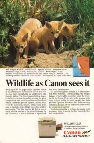 Canon Color Laser Copier 1989 Ad - San Joaquin Kit Fox