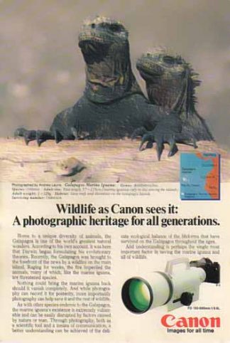 Canon FD 150-600mm f/5.6L Lens 1985 Ad - Galapagos Marine Iguana